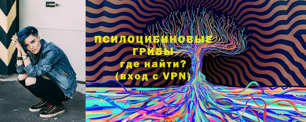 mix Осинники