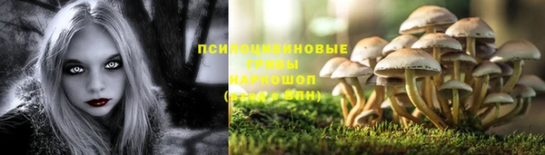 mix Осинники