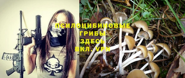 mix Осинники
