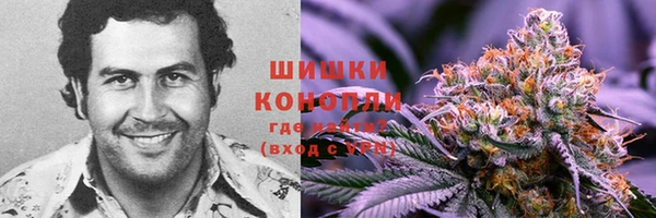 мет Осташков