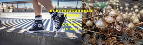 mix Осинники