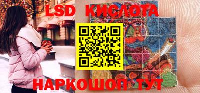 прущие грибы Краснодар