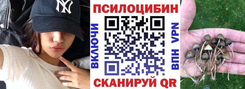 мориарти Telegram  Хасавюрт  Псилоцибиновые грибы прущие грибы 