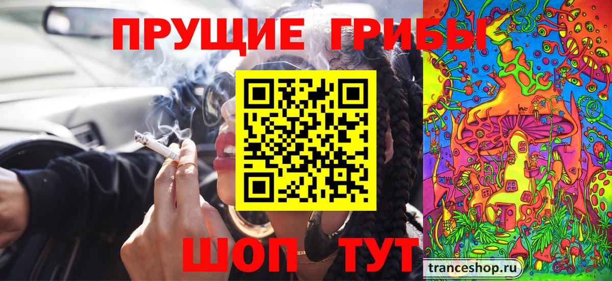 продажа наркотиков  Вход с VPN  Хасавюрт  Псилоцибиновые грибы мухоморы 